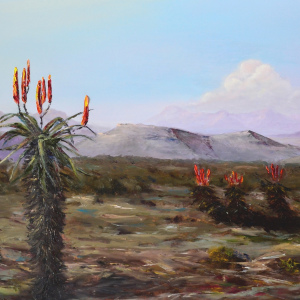 Klein Karoo Early evening / Vroegaand