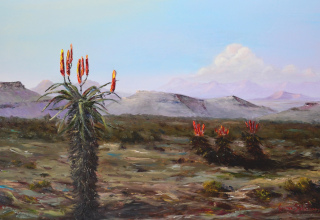 Klein Karoo Early evening / Vroegaand (SOLD)