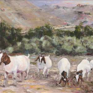 Wupperthal Time to come home / Huistoekomtyd