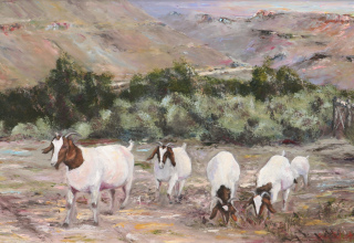 Wupperthal Time to come home / Huistoekomtyd