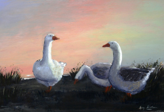 Vroegoggend by die plaasdam / Early morning at the dam